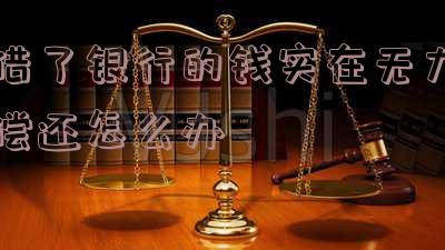 借了银行的钱实在无力偿还怎么办呢,视频处理方法