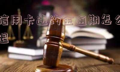 信用卡违约金逾期怎么退回来的计算方式