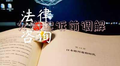 欠钱起诉前调解要多久开庭结案立案及处理