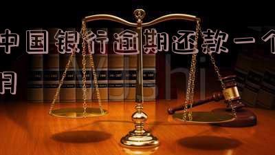 中国银行逾期还款一个月会有征信问题吗及应对方式?