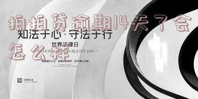 拍拍贷逾期十五天后果严重,怎么处理?