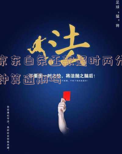 京东白条晚还两分钟的影响及是否算逾期