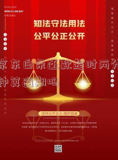 京东白条还款超时两分钟算逾期吗
