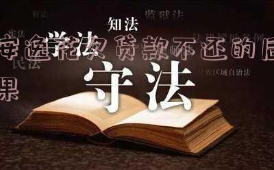 安逸花欠贷款不还的后果是什么