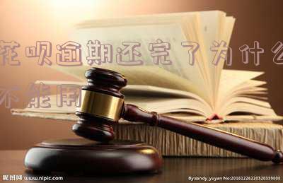 花呗借钱逾期还完了为什么现在不能使用?