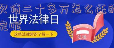 欠债20多万要怎么才能还的清