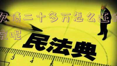 欠债二十多万怎么还的完呢
