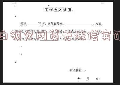 白领欠网贷无法偿宾馆