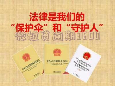 微粒贷逾期3600会被诉讼吗,怎么办?