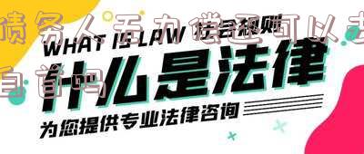 债务人无力偿还可以去自首吗