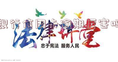 2020年银行信用卡逾期政策全解析