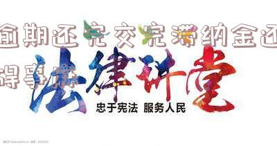 逾期滞纳金可以减免吗？探讨交通罚款逾期滞纳金是否能被减免及其合法性