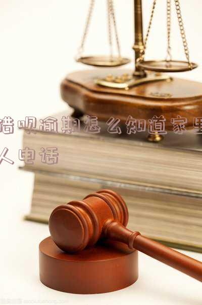 如何查看借呗逾期后的全部欠款信息?