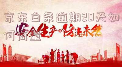 京东白条逾期20天怎么办？影响征信吗？