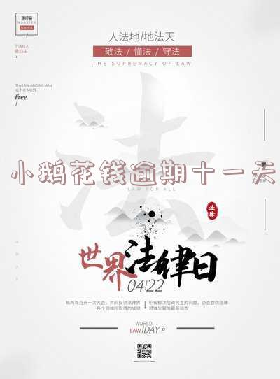 小鹅花钱逾期十天了：如何处理及影响？