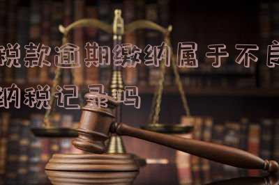 税款逾期缴纳后果:对企业及法人的影响与严重性及解决措施