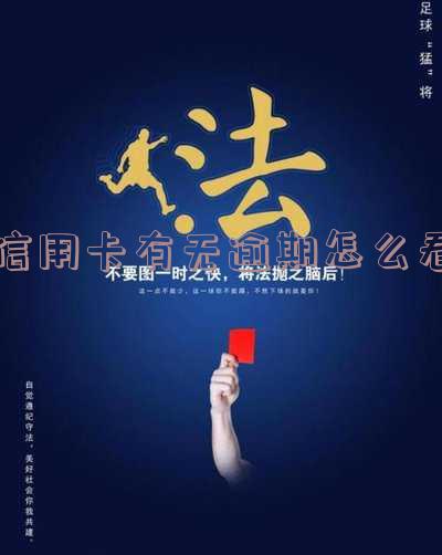 如何查看信用卡逾期记录：详细步骤与注意事项