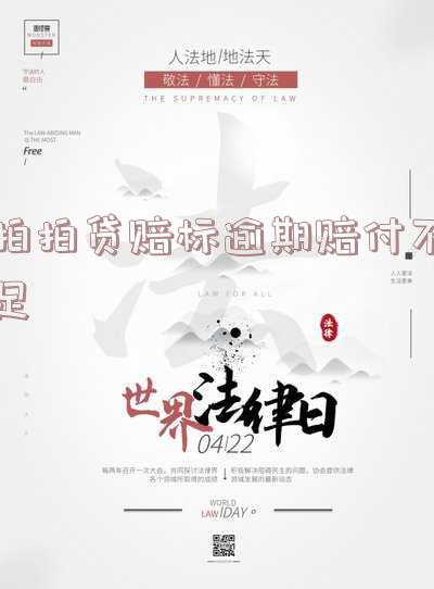 拍拍贷赔标逾期赔付不足？解决方案全解析