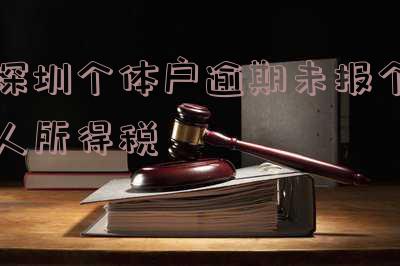 深圳个体户逾期未报税罚款标准及处理方法