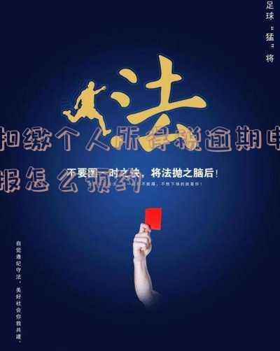 个税逾期如何在网上申报？流程、罚款及重新申报全攻略