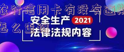 农行信用卡逾期查询记录及欠款情况详解