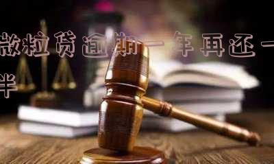 微粒贷逾期一年再还一半？影响及处理方法全解析