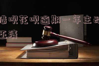 支付宝花呗借呗逾期1年会有何后果？可以协商还本金吗？已全额还清是否仍会被起诉？