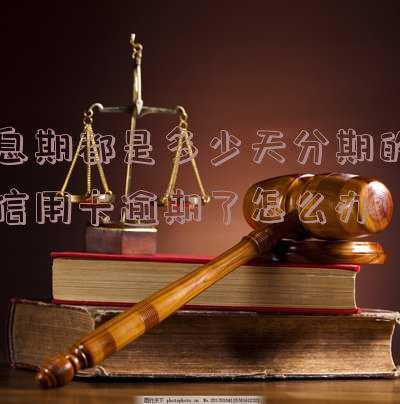 如何计算分期还信用卡利息？每日利率、总费用对比，哪个方案更划算？