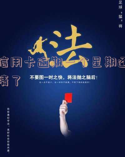 信用卡逾期一周:影响、后果与解决办法