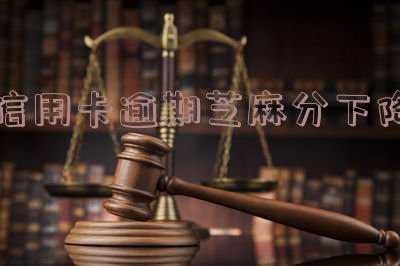 芝麻信用下降：影响几何？