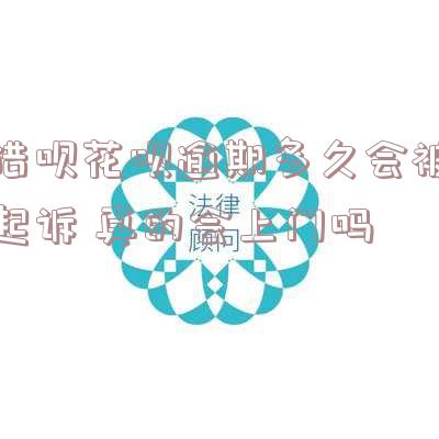 借呗逾期多久会被起诉花呗逾期被起诉怎么办，花呗、借呗逾期处理指南：如何避免被起诉？
