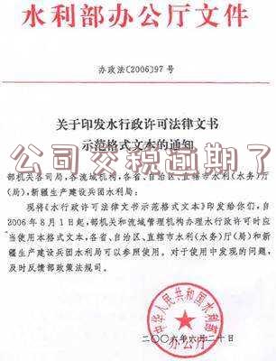 公司交税逾期了会怎么样，公司逾期交税：可能面临的后果与解决办法