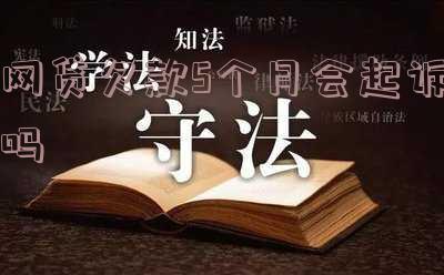 网贷5个月未还:会产生何种后果?是否会坐牢?