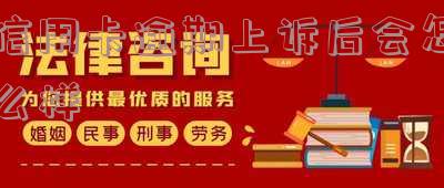 2020年信用卡逾期被起诉立案后怎么解决,如何处理2020年信用卡逾期被起诉立案后的困境?